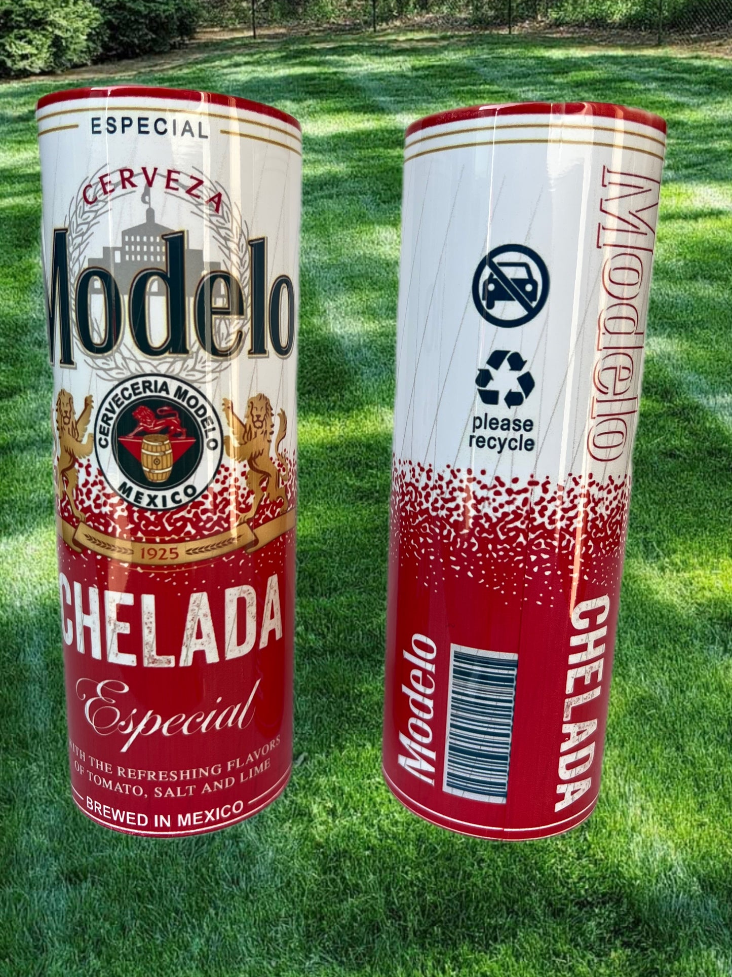 CUSTOM TUMBLERS - BEER INSPIRED , TOXICA , CHINGON